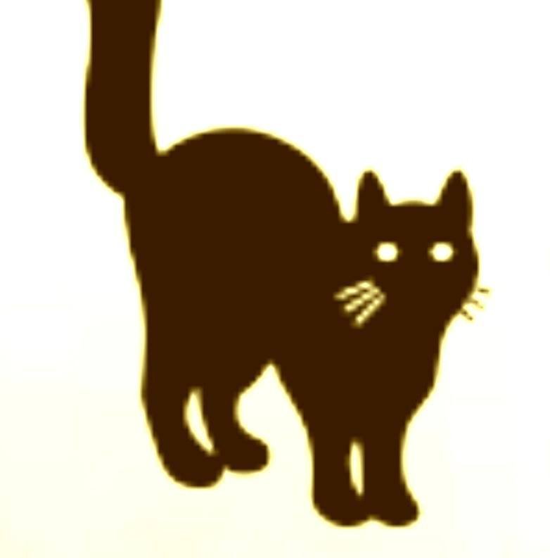 BR CAT Company